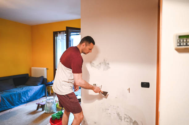 Best Mold Cleaning Services  in East Village, CT